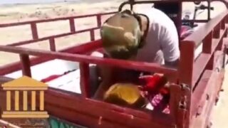 سكس عربي لمراهقة جميلة تتناك من طيزها المثيرة قدام الناس سكس مترجم