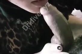 سكس عربي لعشاق مص الزب العربي مع كلام يهيج مع اجمل فرسة عربية سكس مترجم